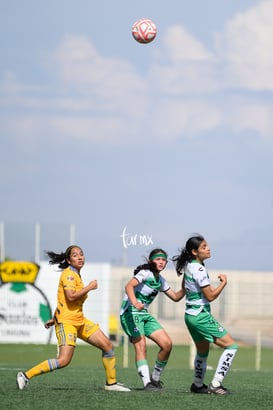 Santos Laguna vs Tigres femenil sub 18 J8 @tar.mx