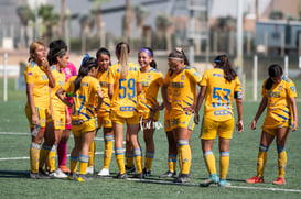 Santos Laguna vs Tigres femenil sub 18 J8 @tar.mx