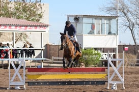 Salto ecuestre Las Brisas @tar.mx