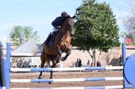 Salto ecuestre Las Brisas @tar.mx