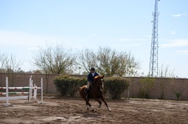 Salto ecuestre Las Brisas @tar.mx