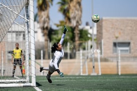 gol de Tania, Dayra Bustos @tar.mx