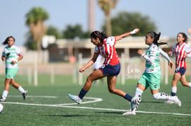 Santos Laguna vs Chivas sub 19 @tar.mx