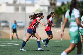 Santos Laguna vs Chivas sub 19 @tar.mx