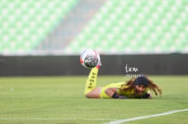 Santos vs Rayadas del Monterrey @tar.mx