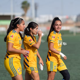 Santos vs Tigres J13 C2023 Liga MX @tar.mx