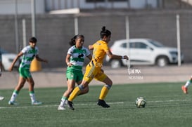 Santos vs Tigres J13 C2023 Liga MX @tar.mx