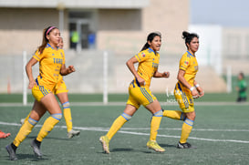 Celebran gol @tar.mx