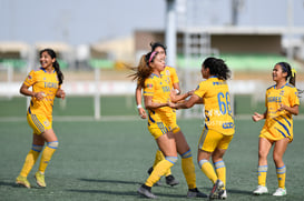 Celebran gol @tar.mx