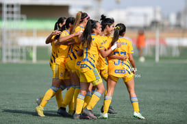 Celebran gol @tar.mx