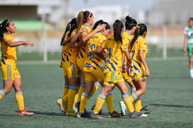 Celebran gol @tar.mx