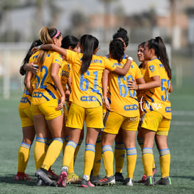 Celebran gol @tar.mx