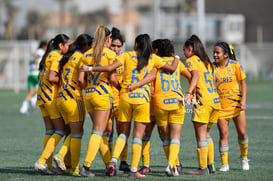 Celebran gol @tar.mx