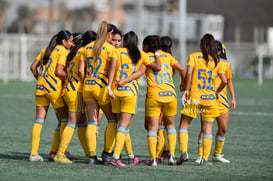 Celebran gol @tar.mx