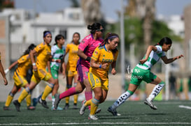 Santos vs Tigres J13 C2023 Liga MX @tar.mx