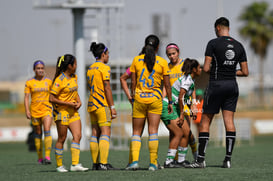 Santos vs Tigres J13 C2023 Liga MX @tar.mx