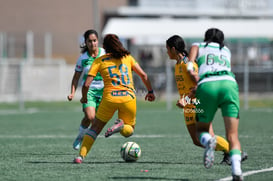 Santos vs Tigres J13 C2023 Liga MX @tar.mx