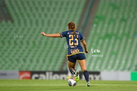 Santos vs Tigres femenil @tar.mx