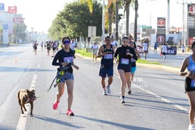 Carrera Qualitas 5K y 10K @tar.mx