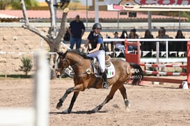 Concurso ecuestre  Las Brisas @tar.mx