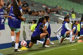 Santos Laguna vs Querétaro femenil @tar.mx