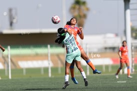 Estefanía Cisneros @tar.mx