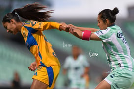 Santos vs Tigres femenil @tar.mx