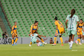 Santos vs Tigres femenil @tar.mx