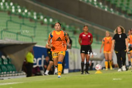 Santos vs Tigres femenil @tar.mx