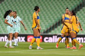 Santos vs Tigres femenil @tar.mx