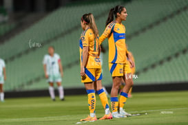 Santos vs Tigres femenil @tar.mx