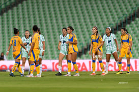 Santos vs Tigres femenil @tar.mx