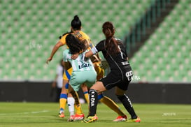 Santos vs Tigres femenil @tar.mx