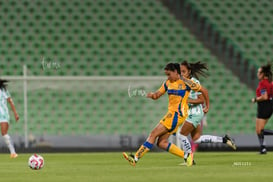 Santos vs Tigres femenil @tar.mx