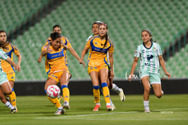 Santos vs Tigres femenil @tar.mx