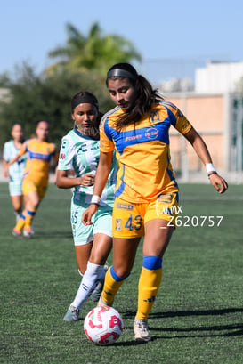 Angélica Antonio, Yolanda Lira @tar.mx