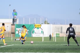 Santos vs Tigres femenil sub 19 @tar.mx