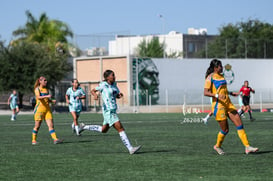 Santos vs Tigres femenil sub 19 @tar.mx