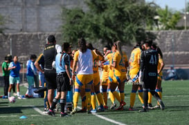 Santos vs Tigres femenil sub 19 @tar.mx