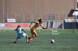 Santos vs Tigres femenil sub 19 @tar.mx