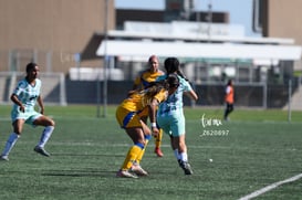 Santos vs Tigres femenil sub 19 @tar.mx