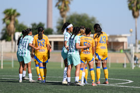 Santos vs Tigres femenil sub 19 @tar.mx