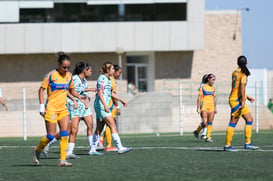 Santos vs Tigres femenil sub 19 @tar.mx