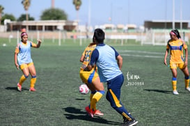 Santos vs Tigres femenil sub 19 @tar.mx