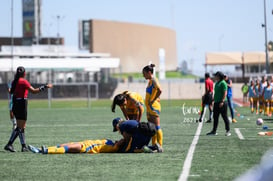 Santos vs Tigres femenil sub 19 @tar.mx