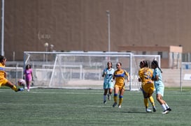 Santos vs Tigres femenil sub 19 @tar.mx