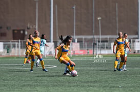 Santos vs Tigres femenil sub 19 @tar.mx