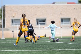 Santos vs Tigres femenil sub 19 @tar.mx