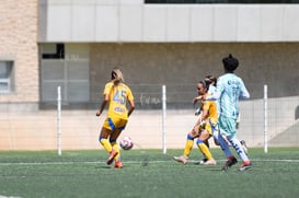 Santos vs Tigres femenil sub 19 @tar.mx