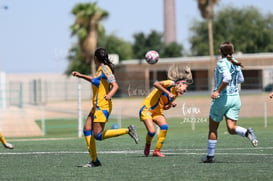 Santos vs Tigres femenil sub 19 @tar.mx